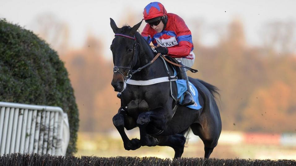 Sprinter Sacre jumping at Sandown